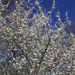 Beautiful Pigeonnier With Sensational Surroundings Дом отдыха
