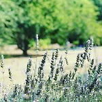 Beautiful Pigeonnier With Sensational Surroundings *