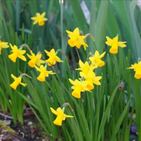 Beautiful Pigeonnier With Sensational Surroundings * Pujols (Lot-et-Garonne)
