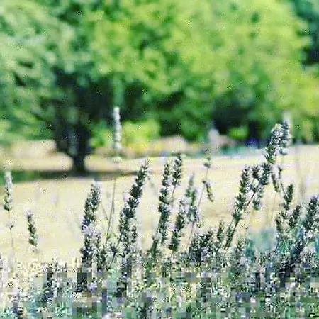 Beautiful Pigeonnier With Sensational Surroundings *
